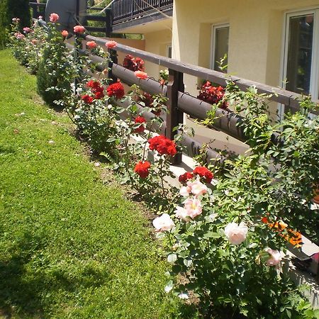 Apartments Vila Velickovic Zlatibor Esterno foto