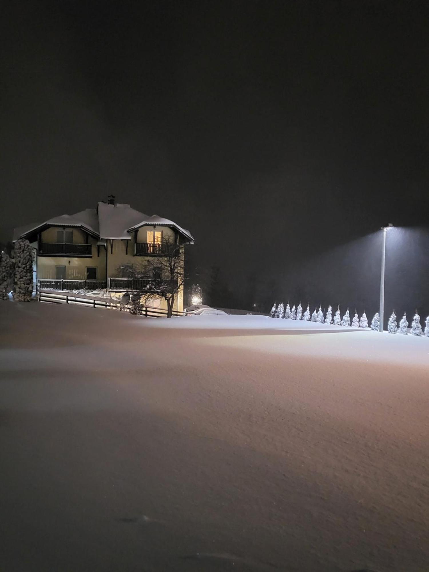 Apartments Vila Velickovic Zlatibor Esterno foto
