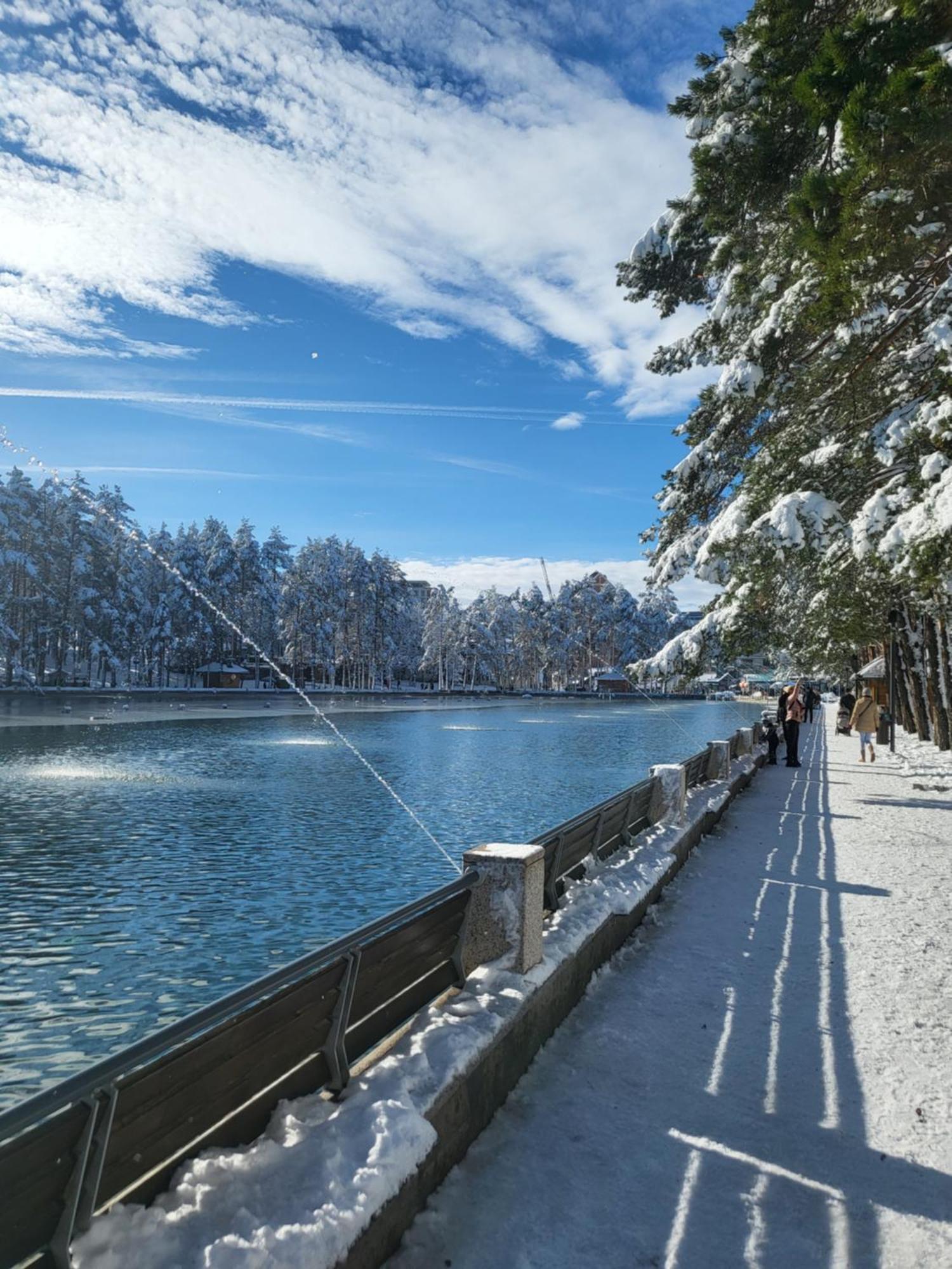 Apartments Vila Velickovic Zlatibor Esterno foto