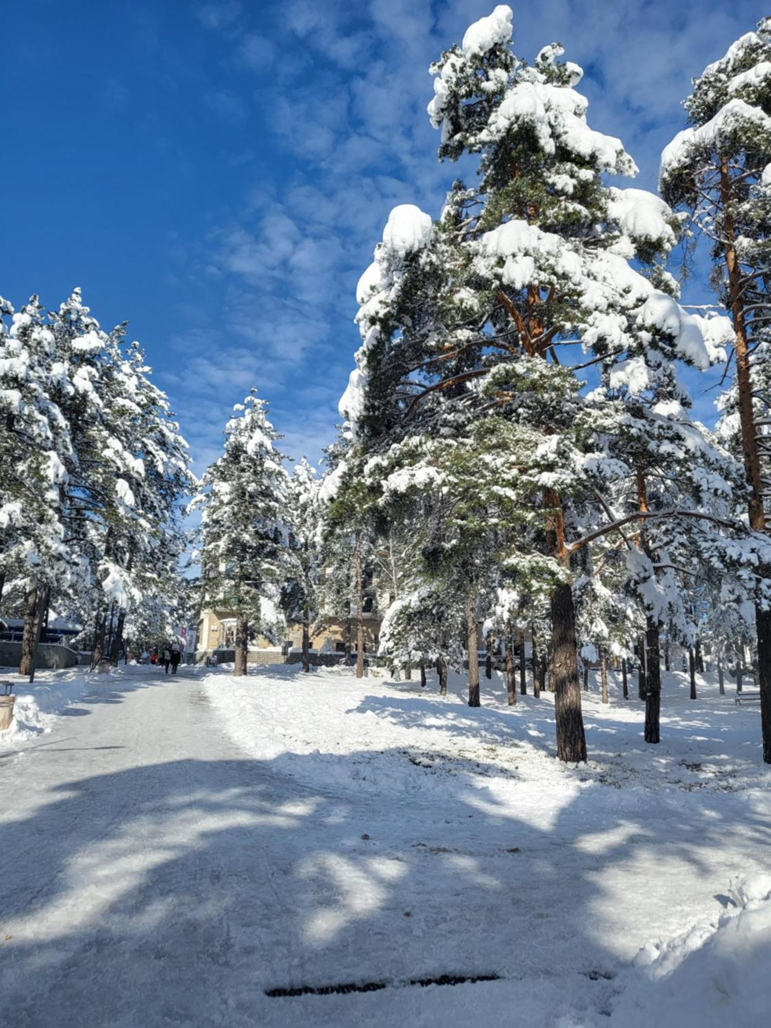 Apartments Vila Velickovic Zlatibor Esterno foto