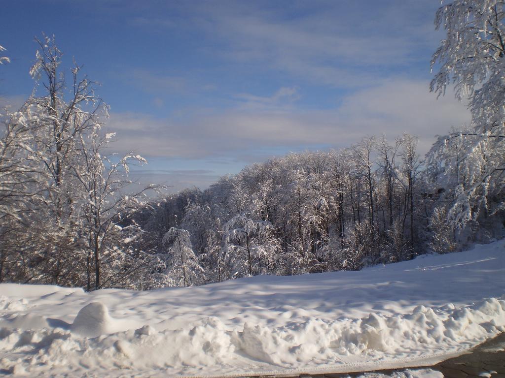 Apartments Vila Velickovic Zlatibor Esterno foto