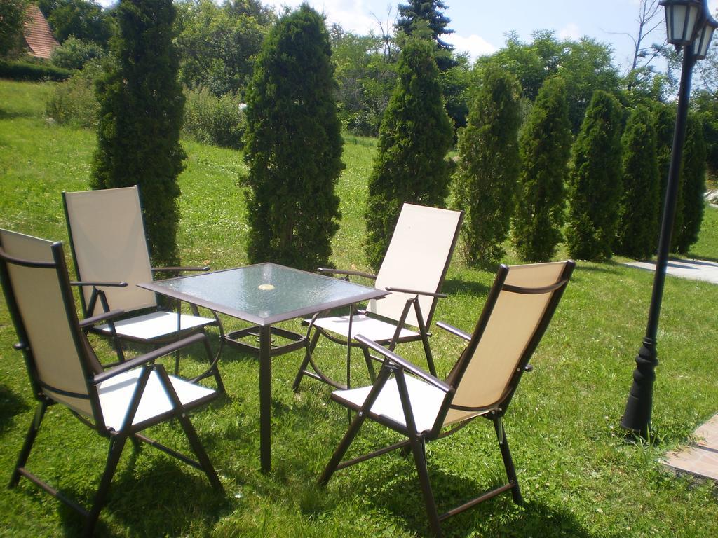 Apartments Vila Velickovic Zlatibor Esterno foto