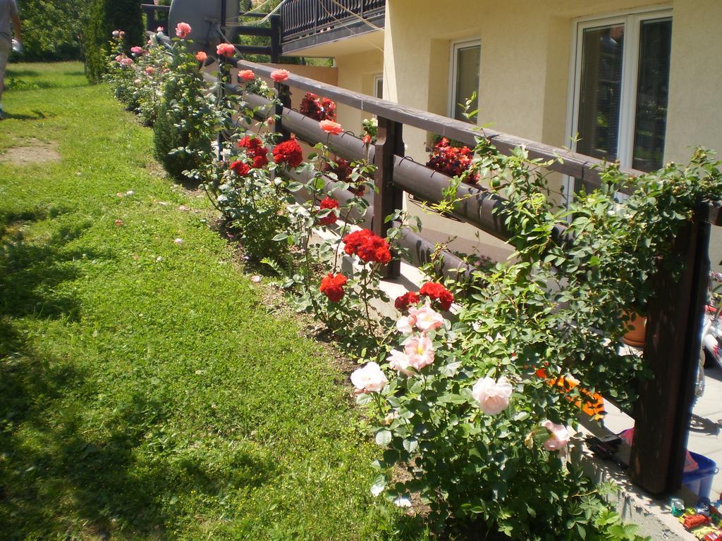Apartments Vila Velickovic Zlatibor Esterno foto