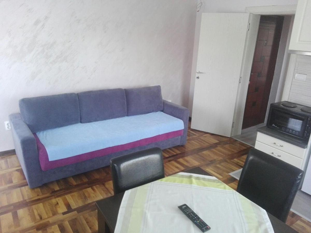 Apartments Vila Velickovic Zlatibor Esterno foto